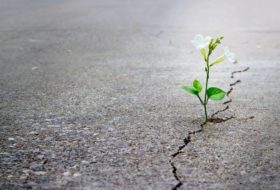 ¿Por qué hablar de Resiliencia?